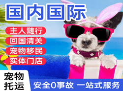 凯里黄平机场邮寄国际宠物托运 【国